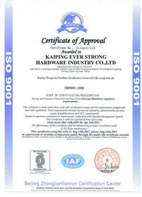 ISO9001 Certificate